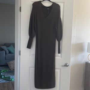 Express Sweater dress